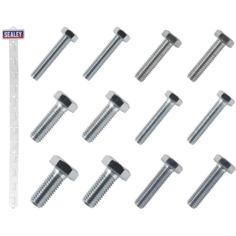 Sealey Clip Strip Deal - Set Screws SCREWSET