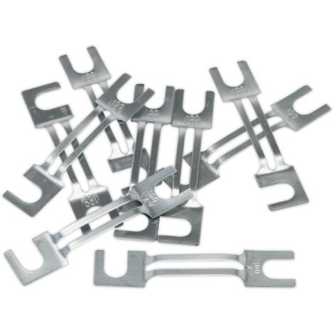 Sealey Fuse 100A 99 x 20mm Large Pack of 10 120/802131 (1/2)