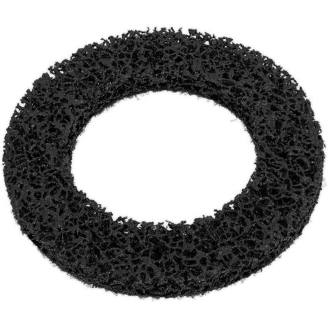 Sealey Cleaning Disc for VS8001 VS8001A (1/2)
