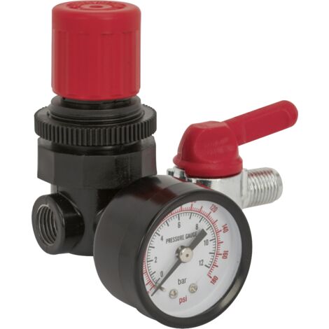 Sealey Air Regulator 1/4""BSP Female to 1/4""BSP Male SA5/RG/14