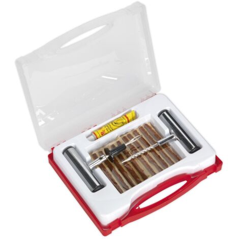 Sealey Temporary Puncture Repair Kit TST10