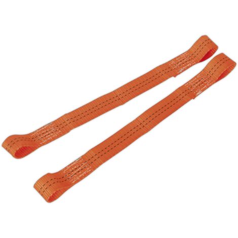 Sealey Tie Down Securing Loop - Pair TDL01 (1/5)