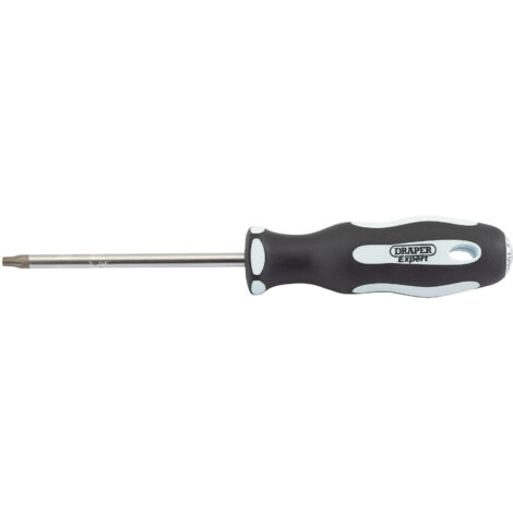 Draper Soft Grip T25 x 100mm TX-STAR Screwdriver (Model 35080) (1/5)