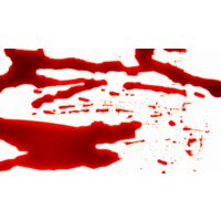 10Pcs Halloween Fake Blood Tubes 28ml - Horror Zombie Makeup for Face/Body