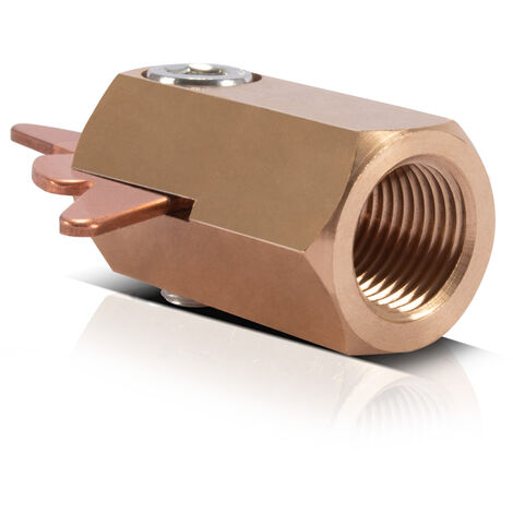 STAHLWERK Porte-électrodes pour étoiles à débosseler Traceur de débosselage Accessoires Smart Repair