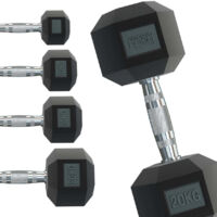 Manubri 2 x 10kg Body Revolution – Casa o palestra