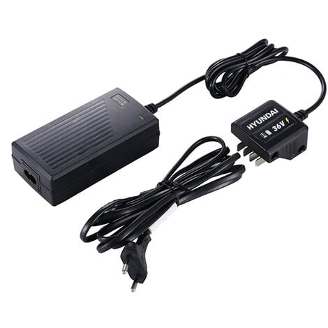 Chargeur 40 V - Témoin de charge LED