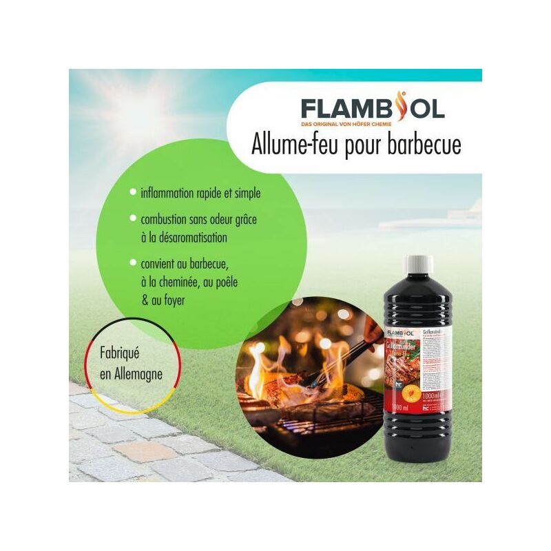 Höfer Chemie 6 l Allume-feu Liquide pour Barbecue (6 x 1 l)
