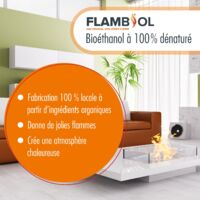 Bioéthanol Parfumé Lavande GiDeli – 5 X 5 Litres, 96,6% éthanol – Sans Fumée Ni Suie, Pour Cheminées Intérieur/extérieur