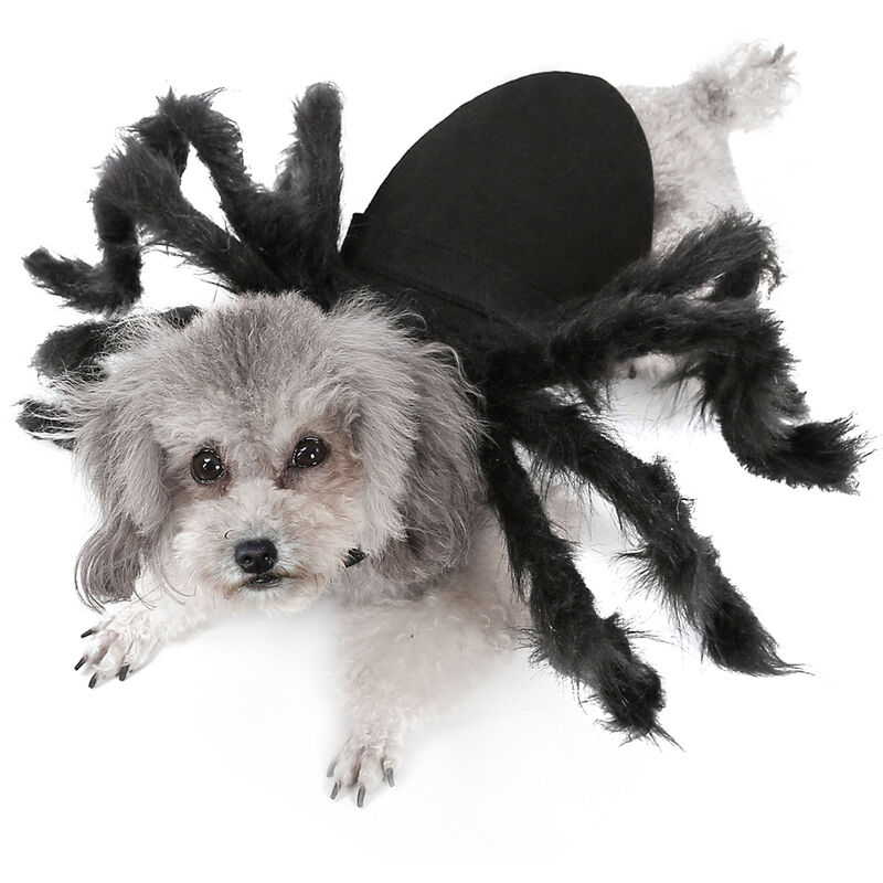 Glorioso oler golondrina Disfraz de arana para perros y gatos de Halloween, trajes de fiesta para  mascotas para perros pequenos, gatos, Negro, Medio
