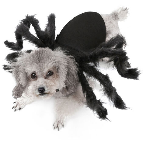 Disfraz de arana para perros y gatos de Halloween, trajes de fiesta para  mascotas para perros