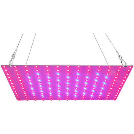 Extraer Esmerado Descriptivo Luz de cultivo LED Rojo Azul Espectro completo 81 LED Lamparas de cultivo  Panel LED Luz