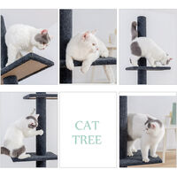 Baum Katze, Katze Auf Aktivitat Baum, Baum Verkratzen Katze, 95-113Po