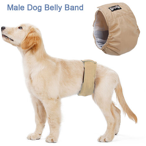 Male Dog Belly Band Pet Diaper Washable Wrap Waterproof Toilet Training Dog Physiological Pant, Beige , XS