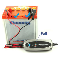 12V car battery charger