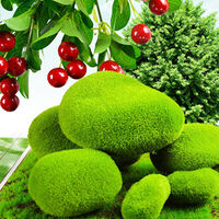 6PCS Artificial Moss Rocks Decorative Green Moss Balls Fake Moss Covered Stones No Maintenance Required for Home Crafts Xmas Indoor Oudoor Garden Office Decoration,model:Green