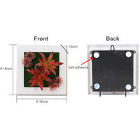 6x6 Inch Artificial Flower Plant Photo Display Frame Wall Hanging Planter Indoor Vertical Wall Fake Planter for Home Office Art Decoration,model: Type 9