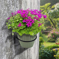 Flower Pot Holder Ring Wall Mounted 5 inch Plant Wall Hanger Rings Metal Plant Hooks Holders Wall Planter Hook,model: 5 Inch & 1 Pc