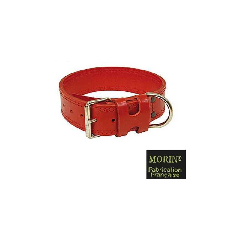 Collier, harnais et laisse de dressage et d'éducation pour chien