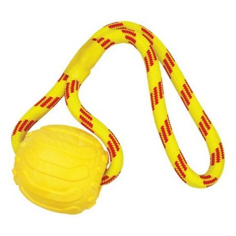 Lanceur de balle D-Ball Up -DogTrace. Morin France : accessoires