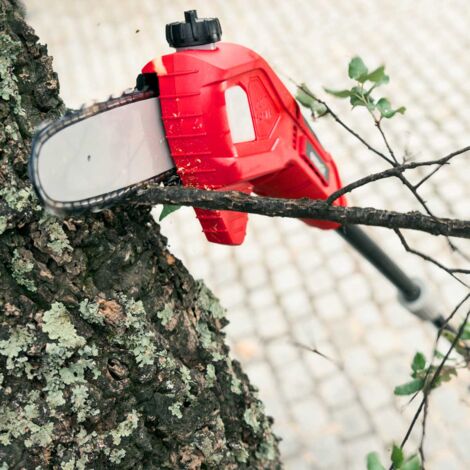 Podadora de altura de batería de litio 40V, longitud espada 170mm, distancia máxima 265cm, paso cadena 3/8" - Greencut PP400L