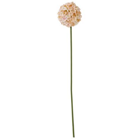 The Natural Garden Collection White & Apricot Allium - Artificial Flower (Single Stem) - Plastic - H56 cm - White