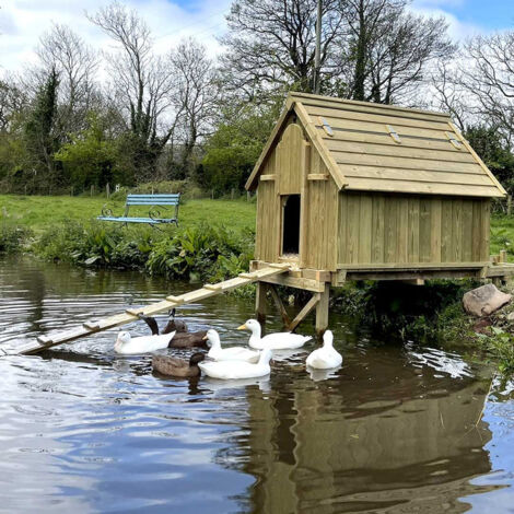 4 x 3 Bank Side Duck House - Pressure Treated Timber - L110 x W100 x H144 cm