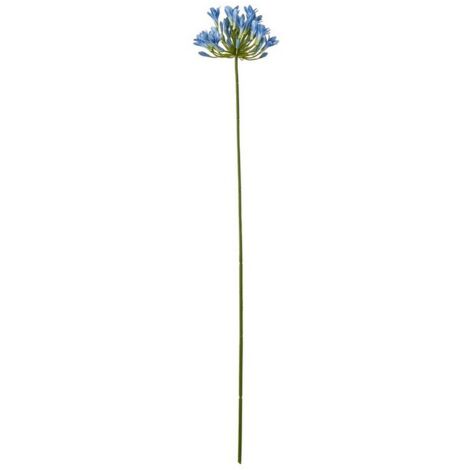 Agapanthus (Single Stem Flower) - Plastic - L15 x W15 x H75 cm - Blue