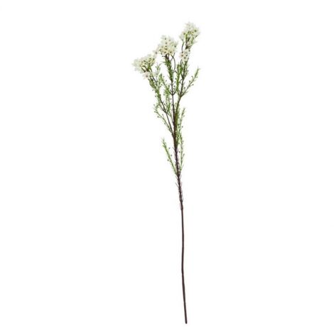 The Natural Garden Collection Waxflower (Single Stem Flower) - Plastic - Height 80 cm - White