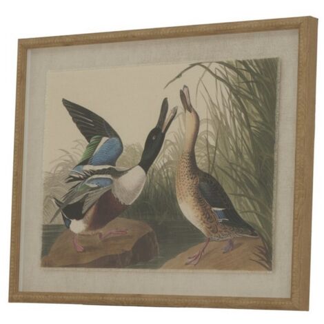 Flora & Fauna Collection Mallards on Linen in Beaded Frame - Glass - L2 x W40 x H50 cm - Brown