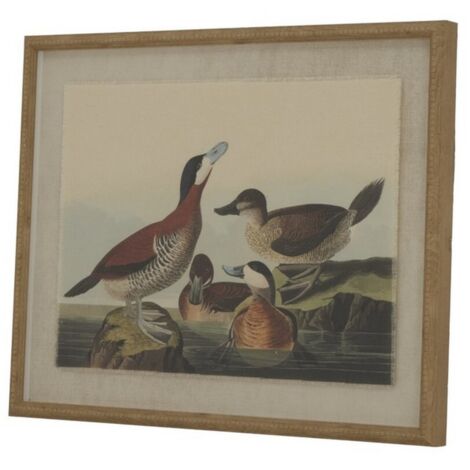 Flora & Fauna Collection Ducks on Linen in Beaded Frame - Glass - L2 x W40 x H50 cm - Brown