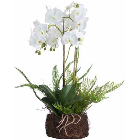 Large Orchid and Fern Garden in Rootball Artificial Flower - Plastic - L52 x W52 x H57 cm - White