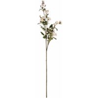 Wild Meadow Rose Artificial Flower - Fabric/Plastic - L15 x W15 x H74 cm - Cream