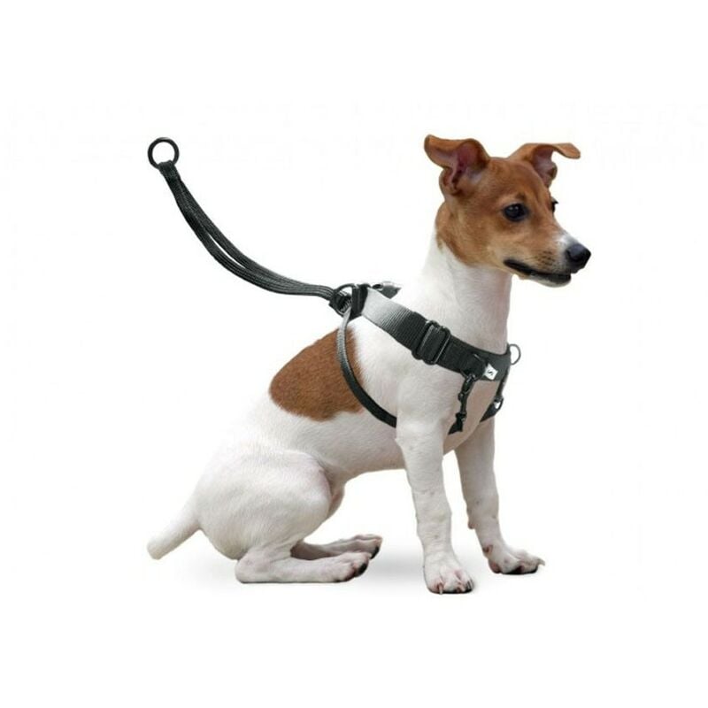 Arnes de entrenamiento Easy Walker Arnes de adiestramiento para perros Arnes Easy Walker talla S