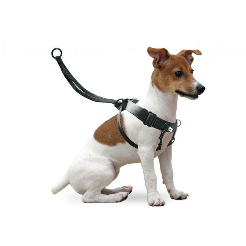 Arnes de entrenamiento Easy Walker Arnes de adiestramiento para perros Arnes Easy Walker talla XL