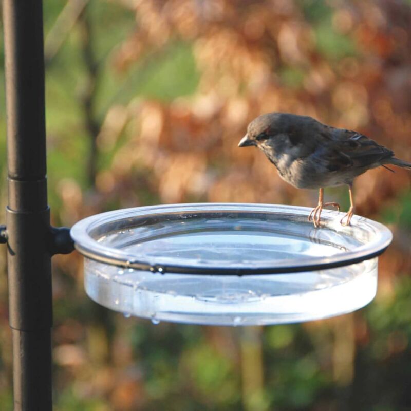 Esschert Design Abbeveratoio in Ghisa per Uccellini Birds - Bloomling  Italia