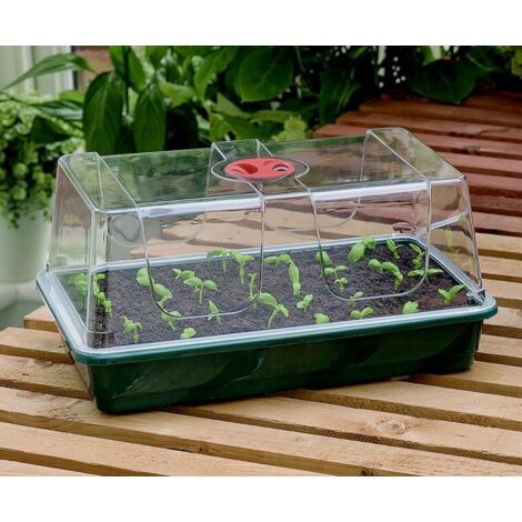 Garland – Large high-dome propagator 37x22x19 cm – Strong injection-moulded trays – Crystal clear vented lid for stronger growth – Two-tier drainage holes (1/2)