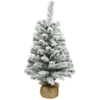 Mini Tabletop Snowy Imperial Green Christmas Tree - 75cm
