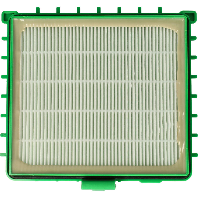 Filtro HEPA per Rowenta Compacteo Ergo RO5227GA, RO5227GA/4Q0