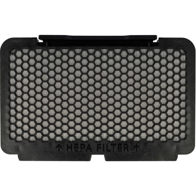 Vhbw Filtro HEPA Compatibile Con Rowenta Power Space RO2366EA - Sostituisce RS-RT9977 - Per Un'Aria Più Pulita E Anti Allergeni