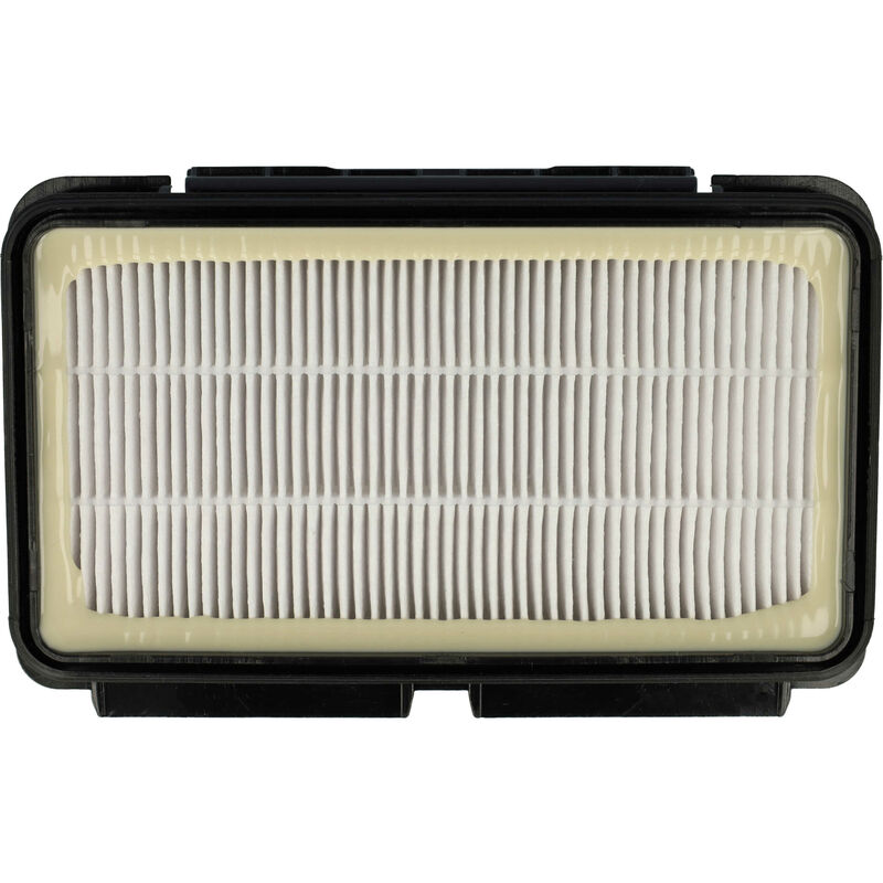 Vhbw 2 Filtri HEPA 13 Compatibili Con Rowenta Silence Force (RO8314EA, RO8324EA) | Sostituiscono RS-RT4109, ZR902501