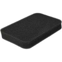 vhbw 1x filtro compatibile con Rowenta Compact Force Cyclonic RO7887, RO7853EA/410, RO785311/410 aspirapolvere - Filtro in spugna