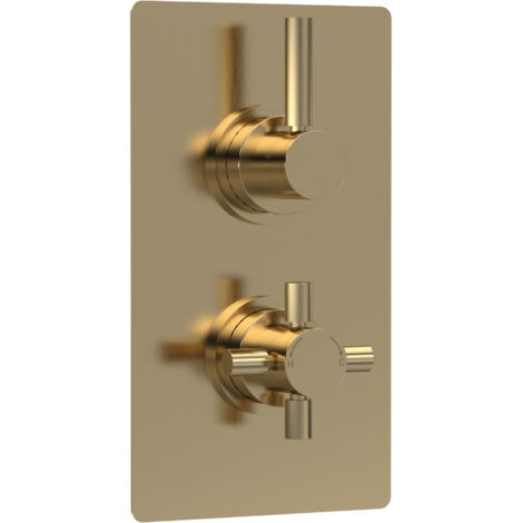 Hudson Reed Tec Pura Concealed Shower Valve with Diverter Dual Handle - Brushed Brass (1/2)