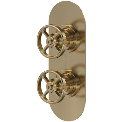 Nuie Revolution Concealed Shower Valve Dual Handle - Brushed Brass (1/2)