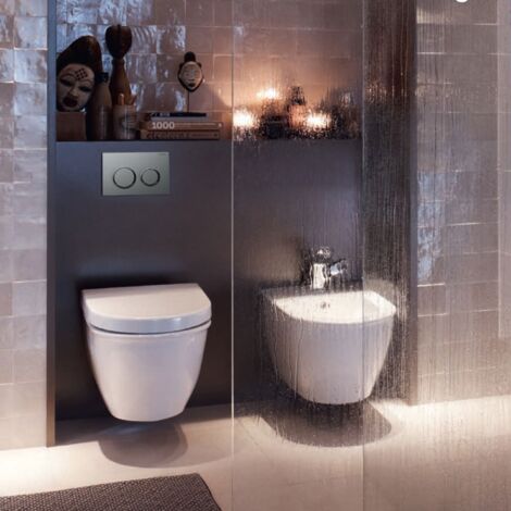 Geberit Kappa21 Dual Flush Plate - Matt Chrome Plated/Gloss Chrome Plated