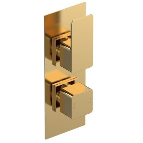 Nuie Windon Brushed Brass Twin Concealed Thermostatic Shower Valve - WIN8TW01 (1/5)