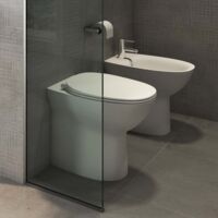 RAK Morning Rimless Back To Wall Toilet 420mm Comfort Height - Soft Close Seat