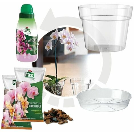 Kit Rinvaso per Orchidee completo - Vaso Trasparente da Ø 15cm con  sottovaso + Substrato Specifico per Orchidee 1 Lt + Concime Liquido 250ml -  Inclusa Guida Completa