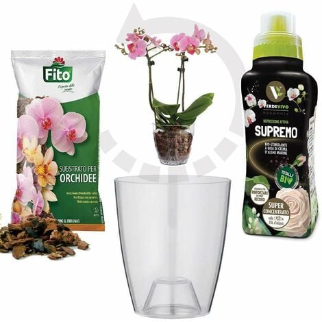 Kit rinvaso orchidee completo - Vaso trasparente Ø 13 cm + Substrato PREGIATO 1 lt + Biostimolante HARMONIA SUPREMO 0,5 LT