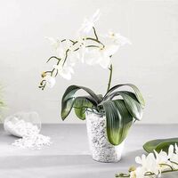 Kit rinvaso orchidee completo - Vaso trasparente Ø 13 cm + Substrato PREGIATO 1 lt + Biostimolante HARMONIA SUPREMO 0,5 LT